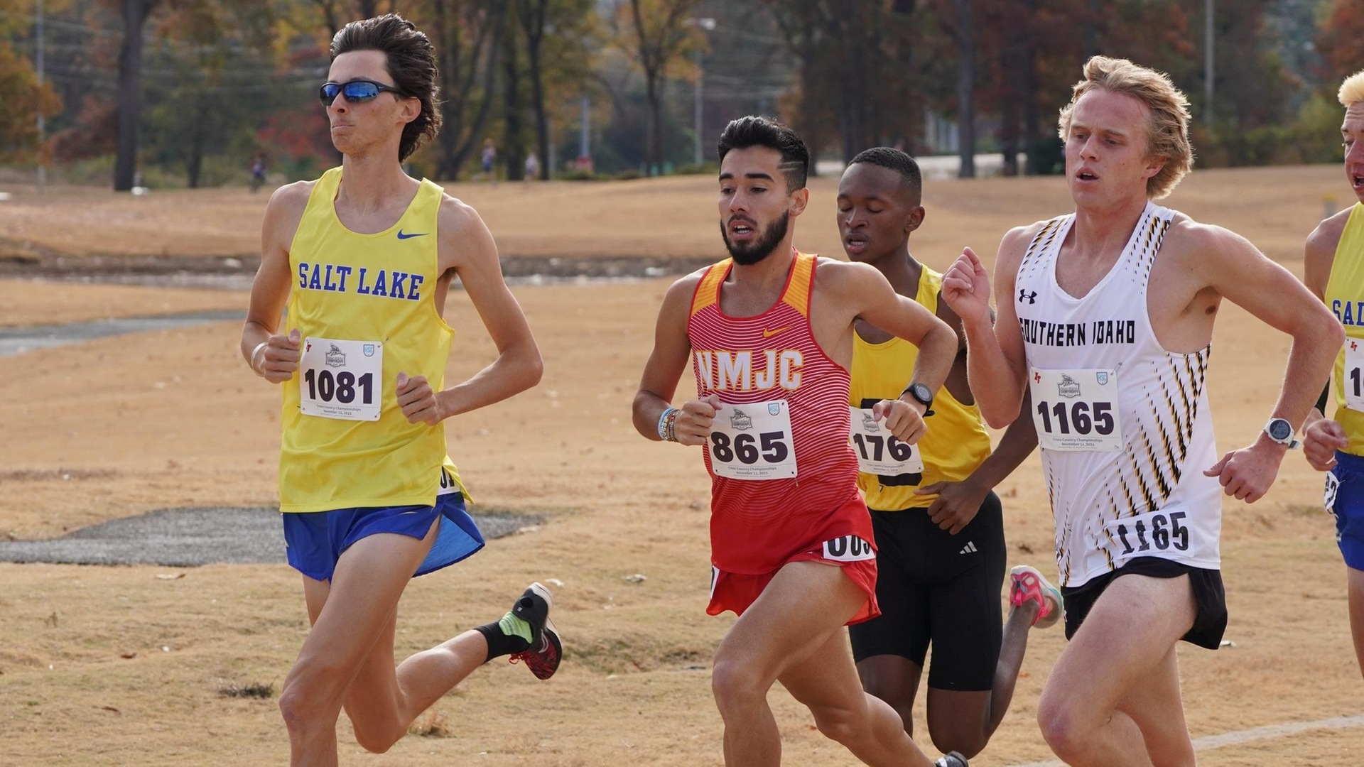 T-Birds (MXC) Place Fourth at NJCAA XC Championships