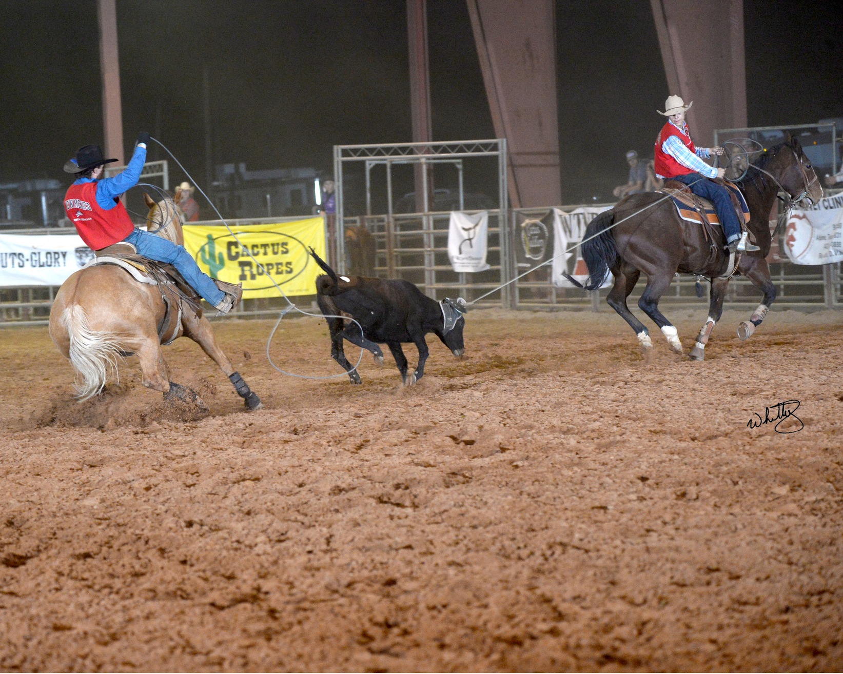 Rodeo Performs at the San Antonio Livestock Show