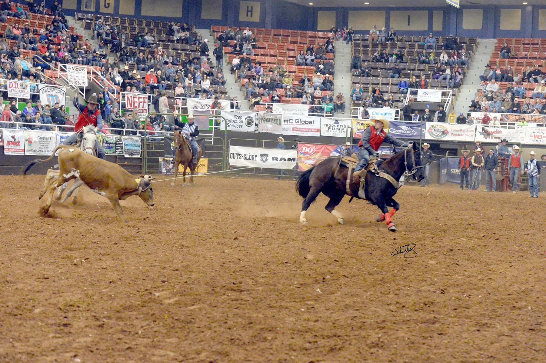 NMJC Qualifies Five for Short Go WTC Rodeo