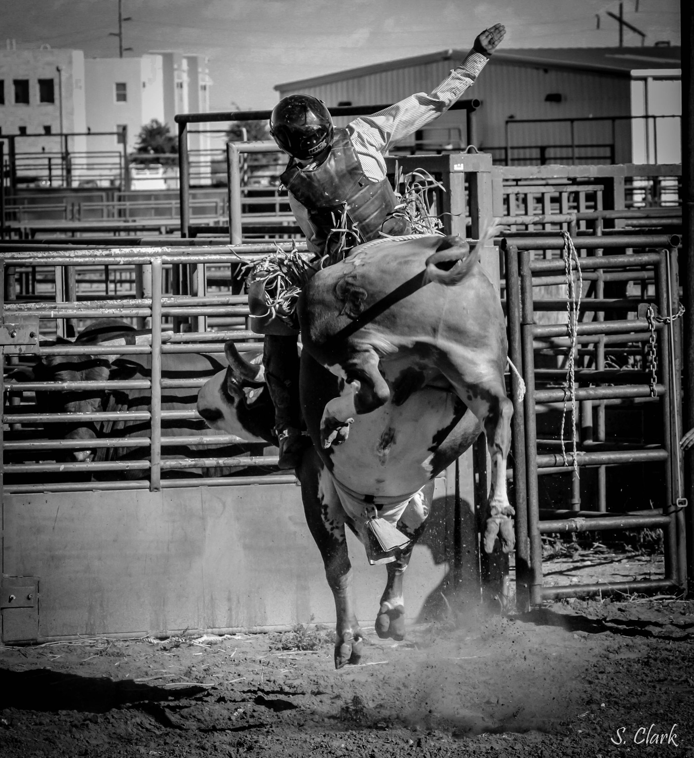 T-Birds Rodeo Sends Four to the Odessa College Rodeo Short Round!