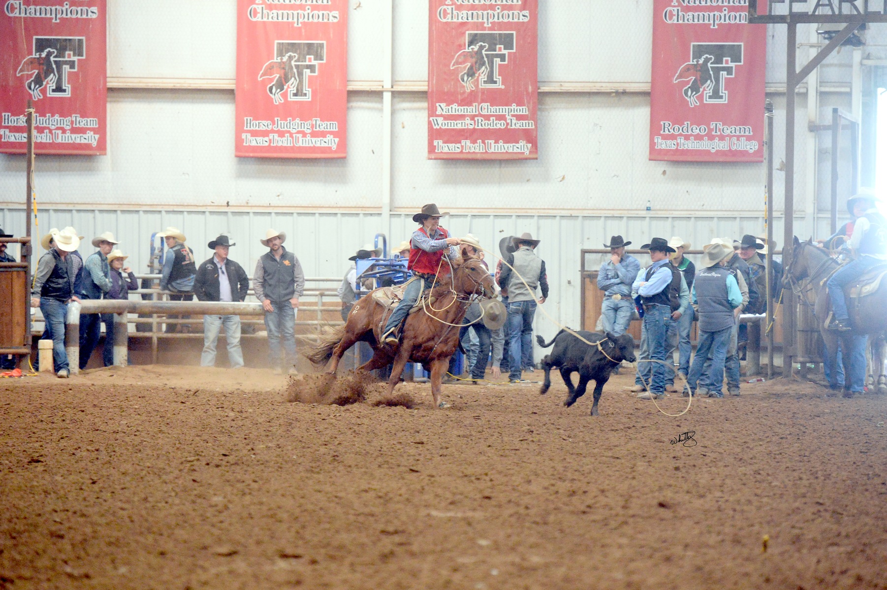 NMJC’s Austin Young makes it back to Texas Tech Rodeo Short Round