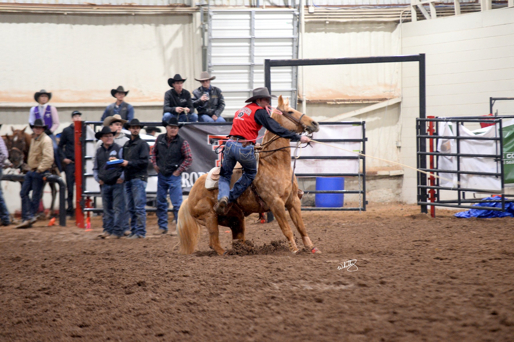 Texas Tech Rodeo Ends the Fall Rodeo Season for the T-Birds